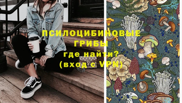 PSILOCYBIN Волосово