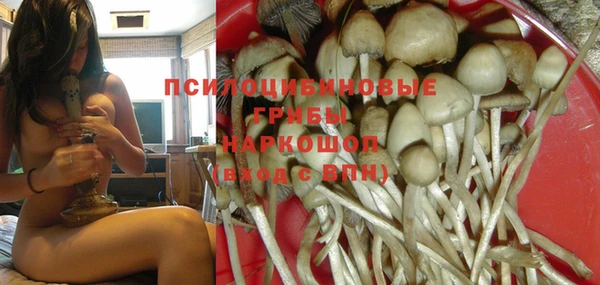 PSILOCYBIN Волосово