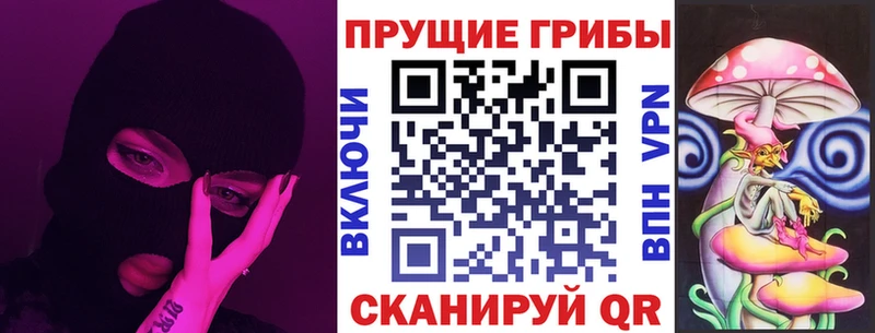Псилоцибиновые грибы Psilocybe Сарапул